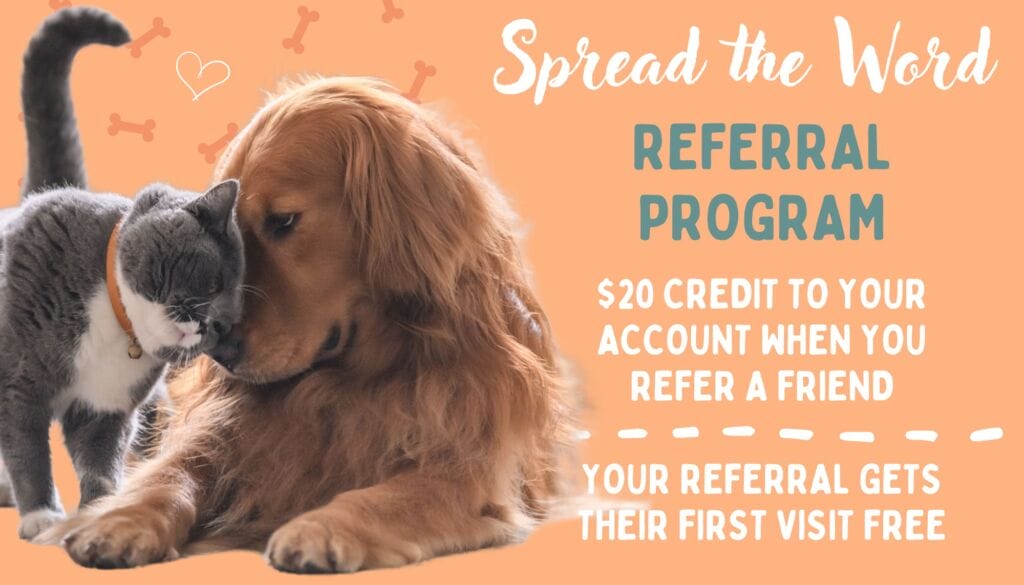 Data-Driven Pet Marketing Strategies: Boost Your Results 6 115