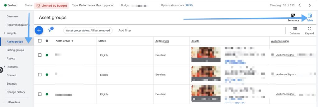 Asset Groups in Performance Max Campaigns1