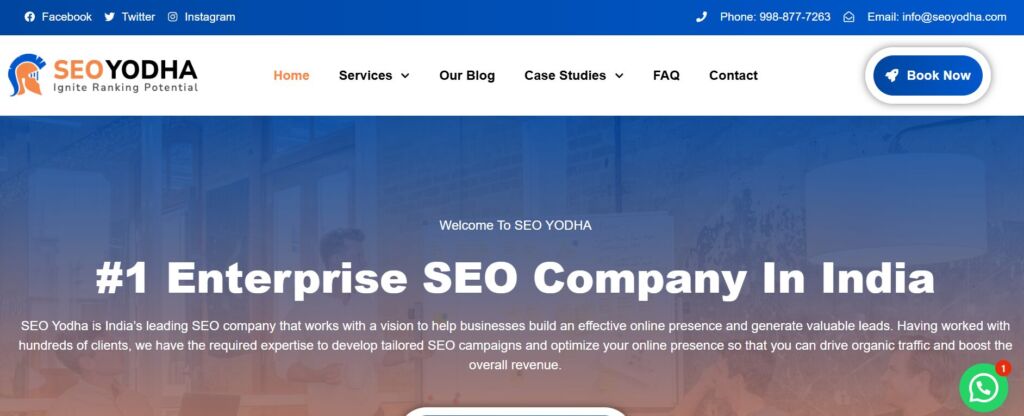 Ecommerce PPC Agencies in India2