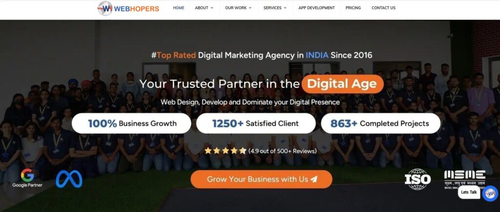 Top SEO Companies in Mohali11