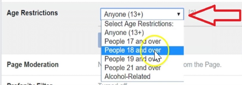 10 Tips for Running Successful Facebook Ads for Your Casino Business 6 Age Restrictions