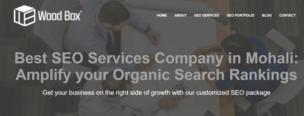 Top 10 Digital Marketing Companies Mohali 9 Companies In Mohali9