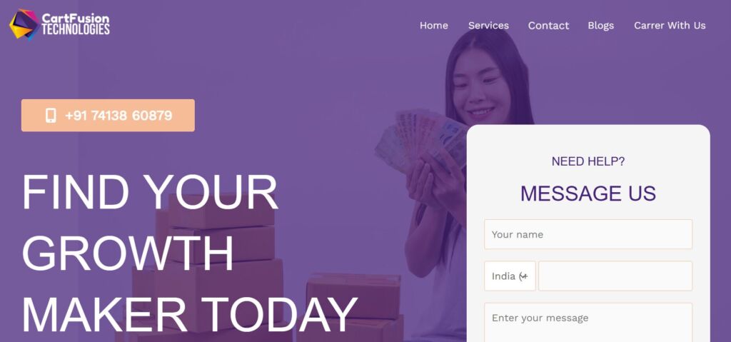 Companies Noida10