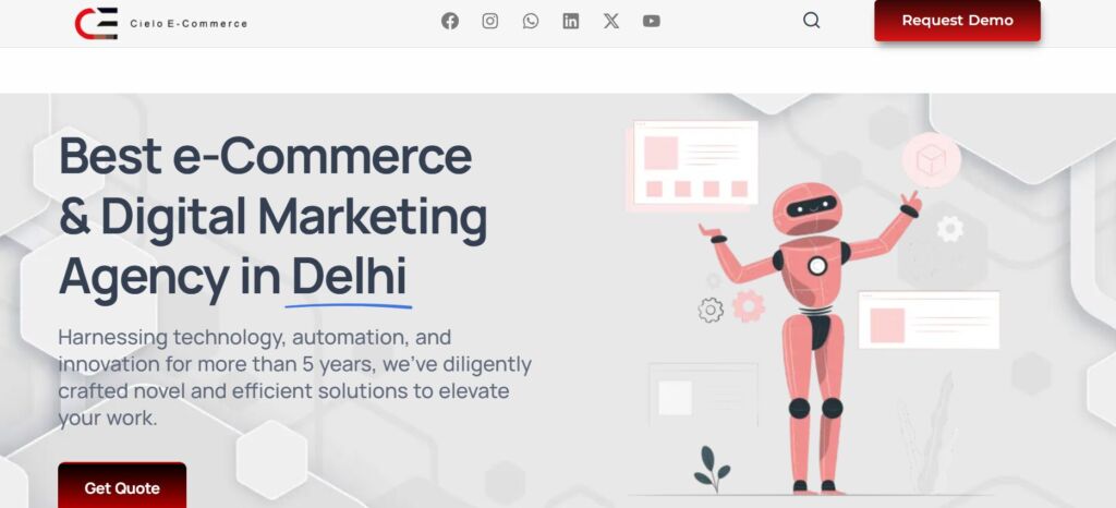 Ecommerce Marketing Agencies in India4
