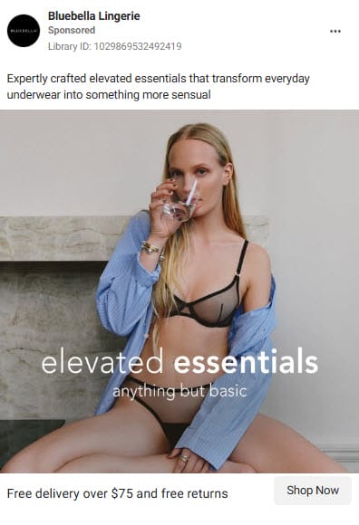 Top 5 Attractive Facebook Ads Examples For Lingerie Business 3 Facebook Ads Examples For Lingerie Business3
