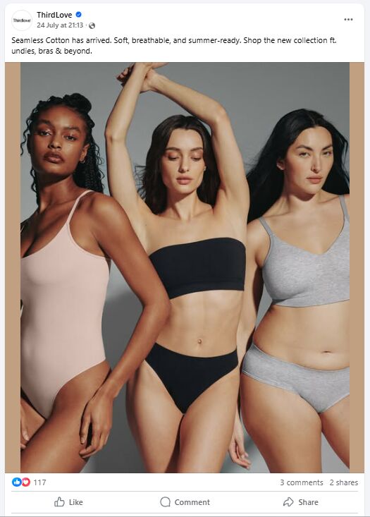 Using Facebook Ads for Lingerie Business: Examples and Tips 2 Facebook Ads for Lingerie Business2
