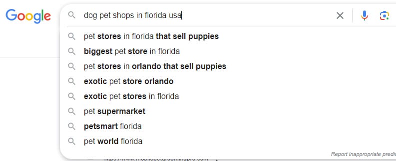 SEO for Pet Stores: Tips for Online Pet Store Optimization 4 Find essential keywords