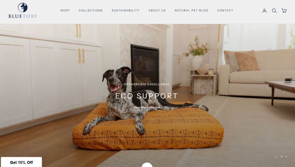 Google Ads for Pet Products4