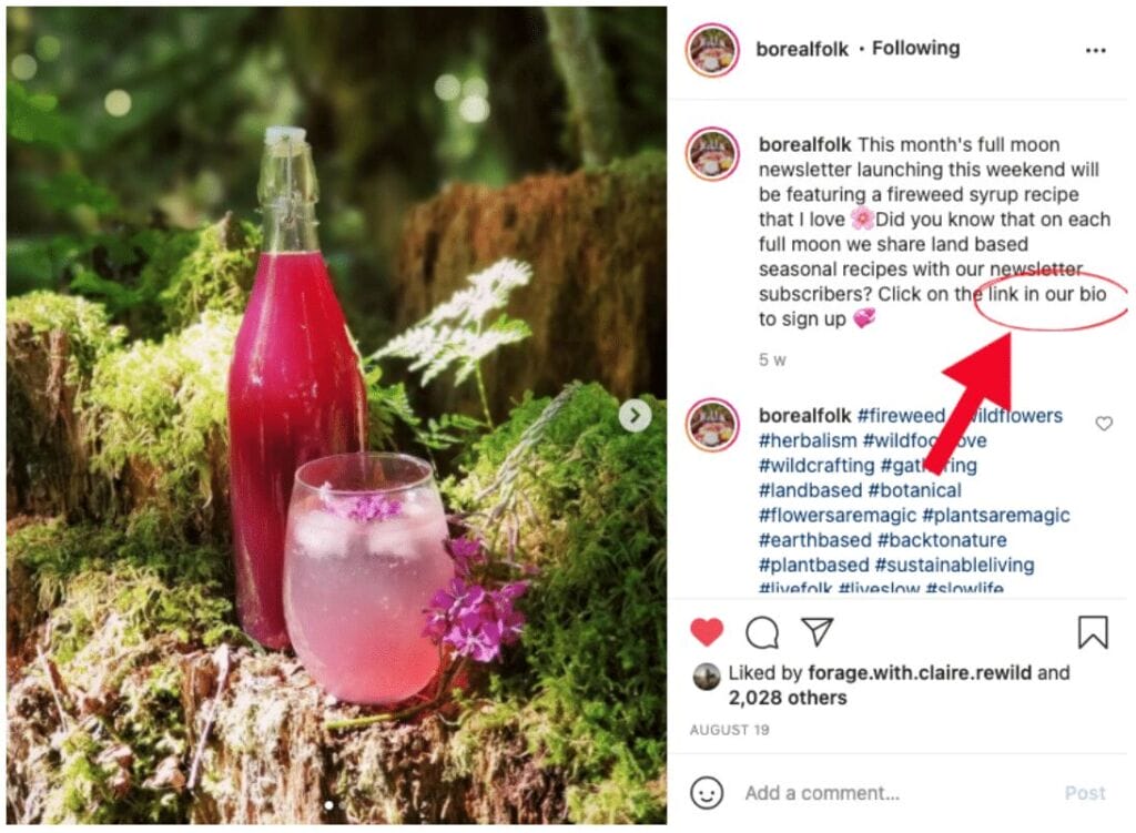Instagram Call to Action Examples3