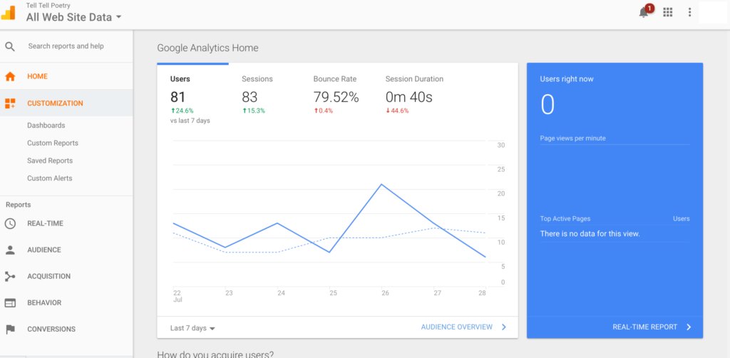 SEO for Pet Stores: Tips for Online Pet Store Optimization 6 Install Google Analytics