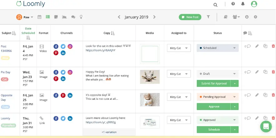 Best Social Media Automation Tools to Boost Your Strategy 8 Loomly