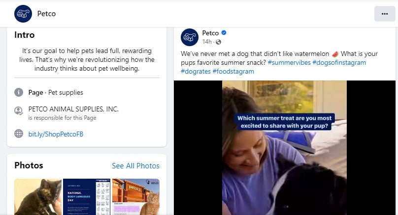 SEO for Pet Stores: Tips for Online Pet Store Optimization 9 Online Directories and Social Media