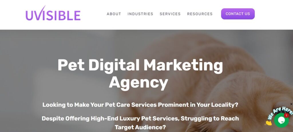 Pet Marketing Agency in India: Succeed in a Competitive Market 3 Pet Marketing Agency in India3
