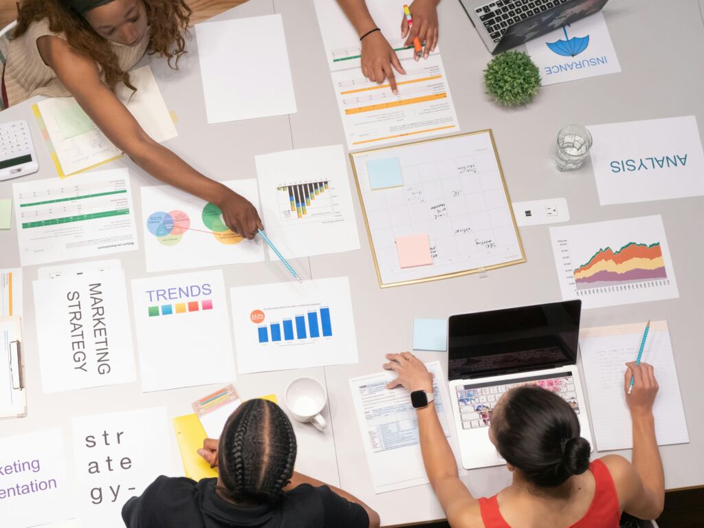 SEO Company Primelis3