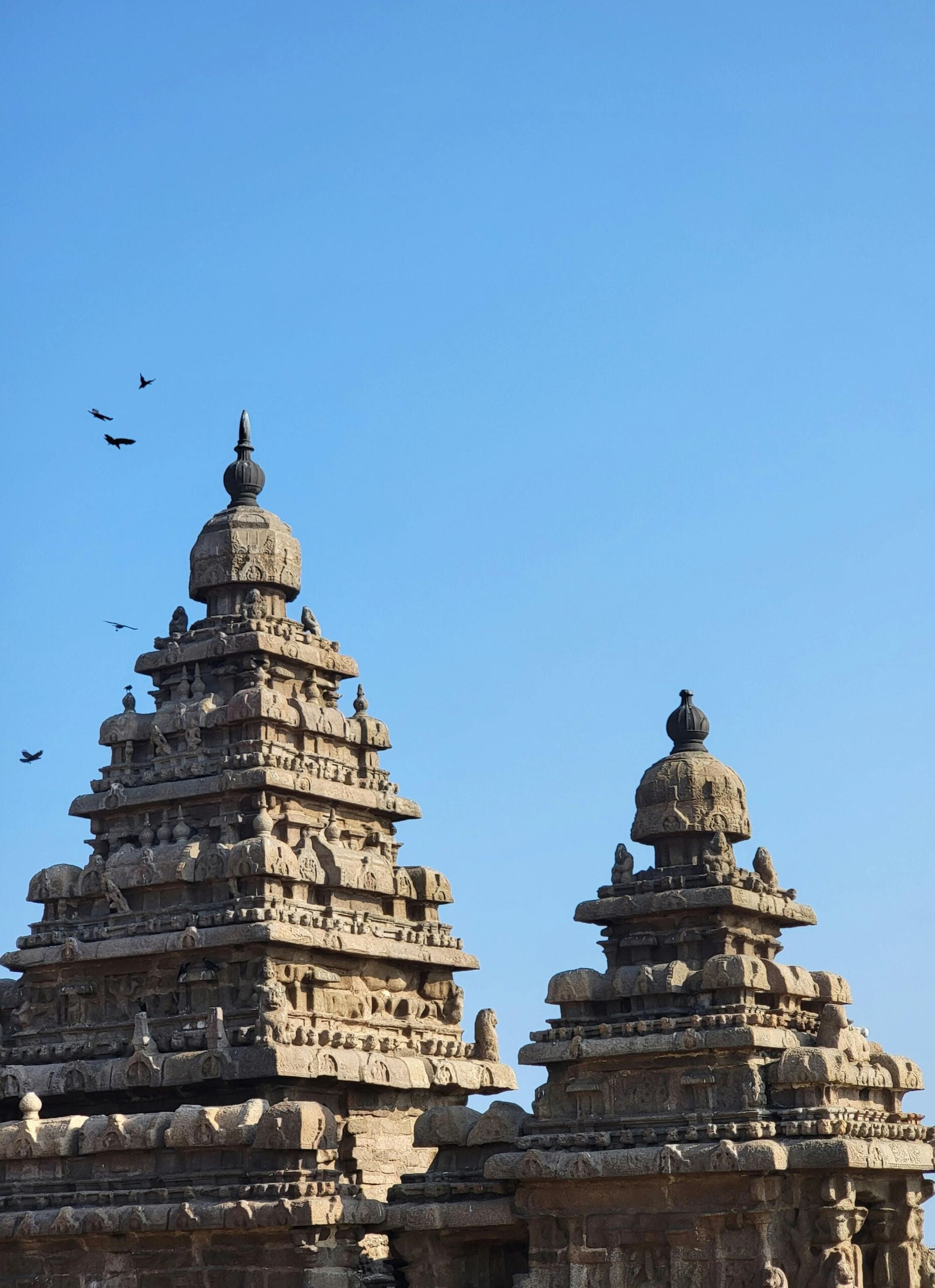 SEO Services for Madurai SEO Services for Madurai