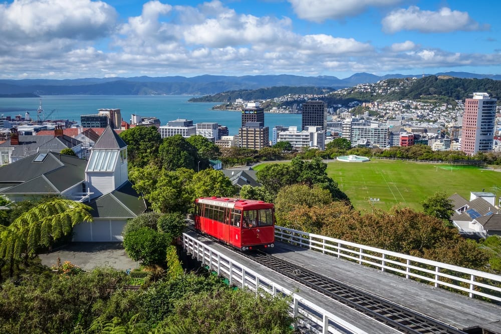 SEO Services in Wellington