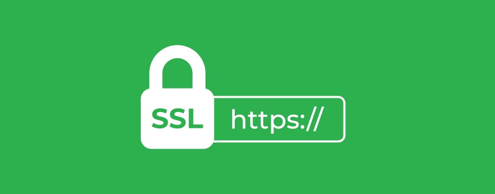 SEO for Pet Stores: Tips for Online Pet Store Optimization 3 SSL Certificate
