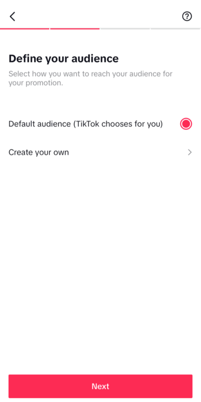 Going Viral: Creating Successful TikTok Ads Campaigns 2 TikTok Ads Campaigns2
