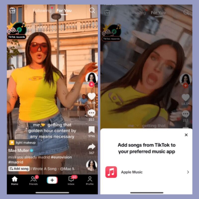 TikTok Revenue4