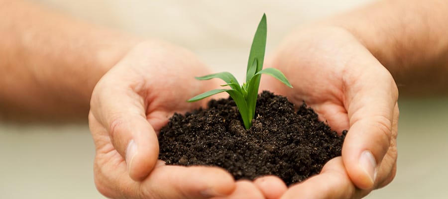5 Reasons Why Your Business Needs a CBD Advertising Agency 3 Trust & Credibility