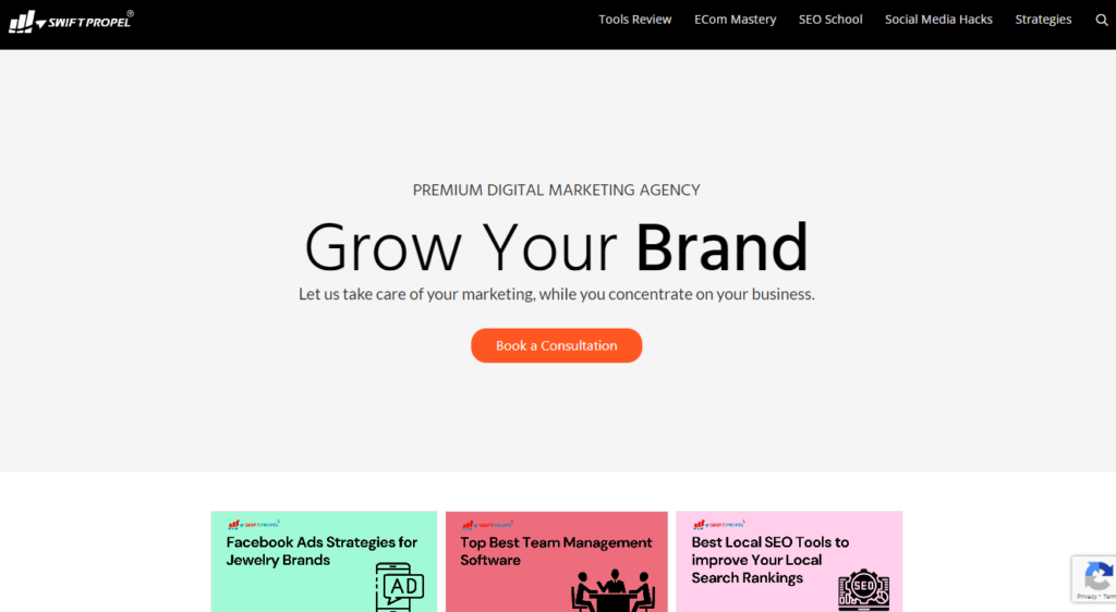 Why Choose a WordPress SEO Agency in India for Your Website 1 WordPress SEO Agency in India
