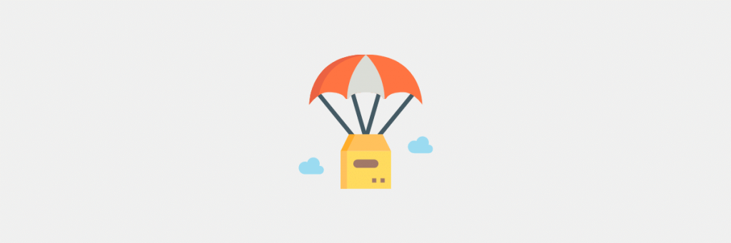 Best 21 Proven Ways to Make Money Blogging in Any Niche 8 dropship