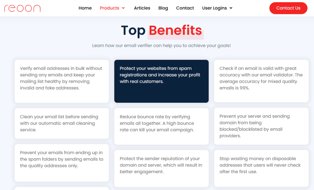 Reoon Email Verifier Review1