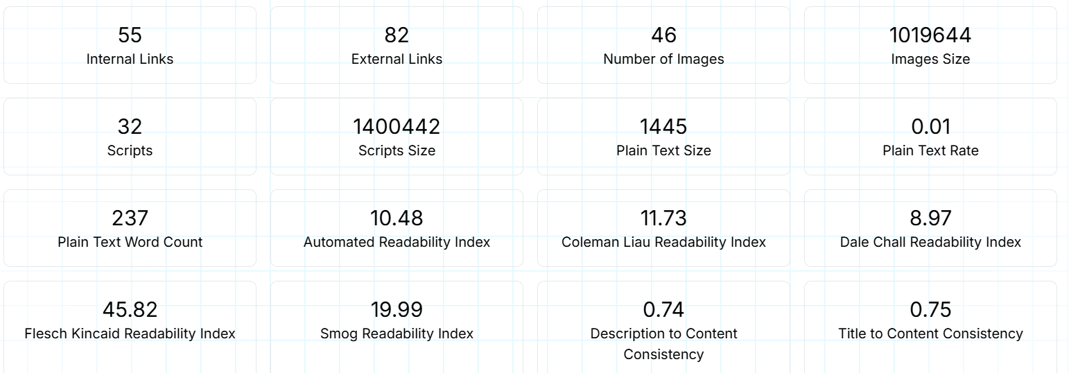 website audit