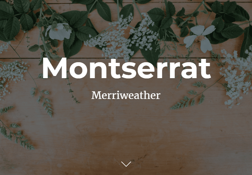How to Choose Perfect Fonts for an Ecommerce Store? 11 fonts for an Ecommerce Store