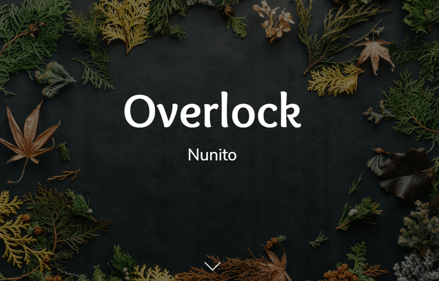 How to Choose Perfect Fonts for an Ecommerce Store? 12 fonts for an Ecommerce Store