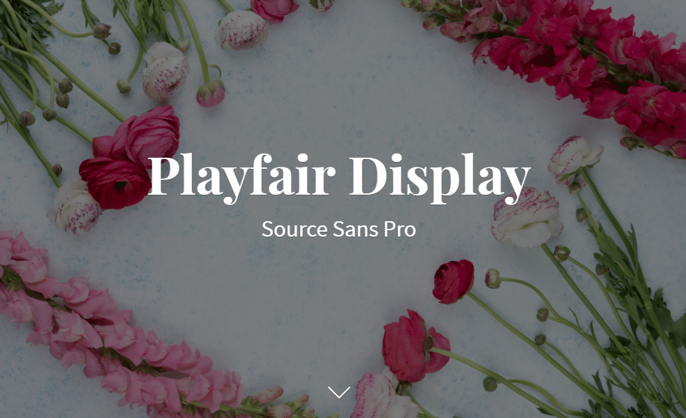 How to Choose Perfect Fonts for an Ecommerce Store? 13 fonts for an Ecommerce Store