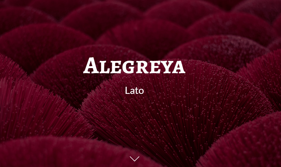 How to Choose Perfect Fonts for an Ecommerce Store? 14 image15
