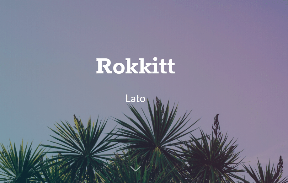 How to Choose Perfect Fonts for an Ecommerce Store? 15 image45